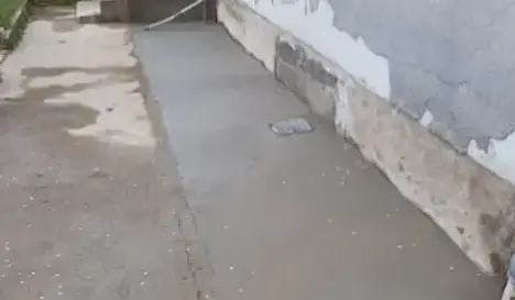 aménagement extérieur La Chevrolière-3